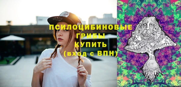 бошки Зерноград